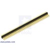 0.100" (2.54 mm) Breakaway Male Header: 2x40-Pin, Straight